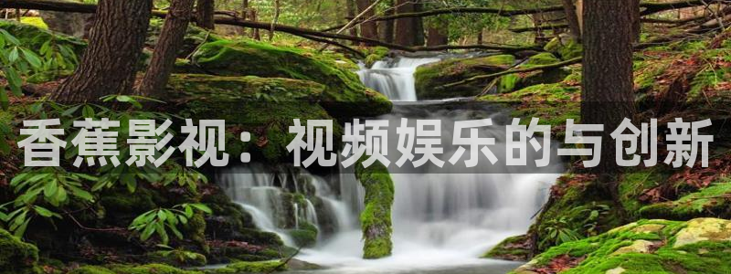 泡泡影视手机版大全：香蕉影视：视频娱乐的与创新