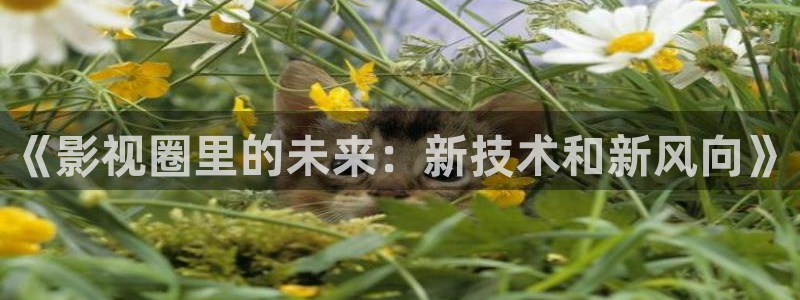 泡泡影视电影天堂电视剧：《影视圈里的未来：新技术和新风向》