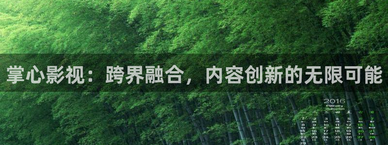 泡泡电影伦理：掌心影视：跨界融合，内容创新的无限可能