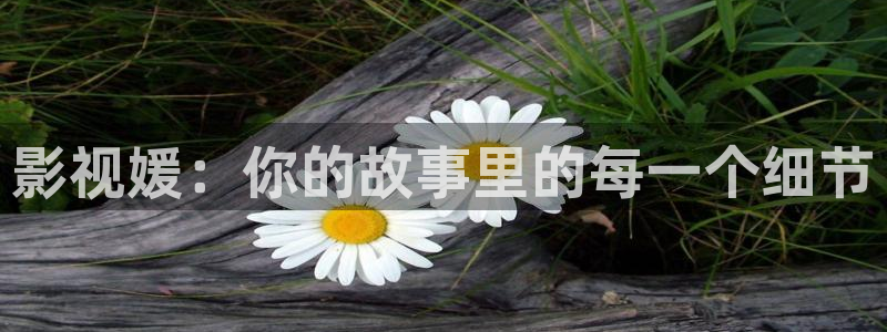 泡泡电影手机天堂：影视媛：你的故事里的每一个细节