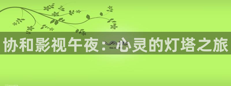 泡泡影视电视剧狂飙：协和影视午夜：心灵的灯塔之旅