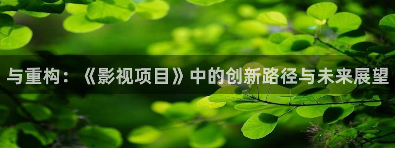 泡泡影视电影大全：与重构：《影视项目》中的创新路径与未来展望