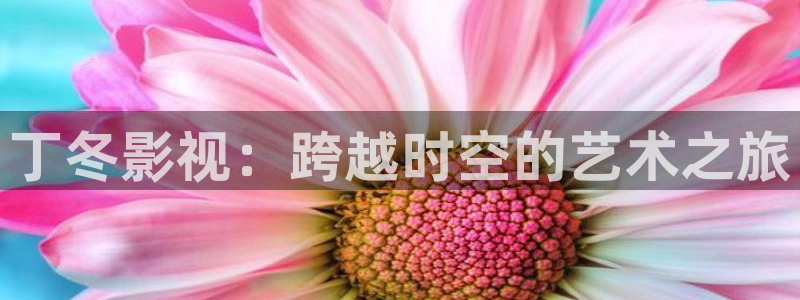 泡泡视频在线播放免费观看：丁冬影视：跨越时空的艺术之旅