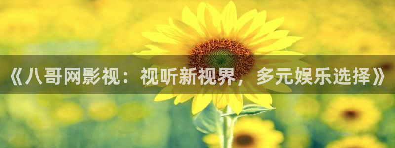泡泡影视动漫：《八哥网影视：视听新视界，多元娱乐选择》